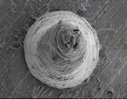 Microneedle SEM image 2