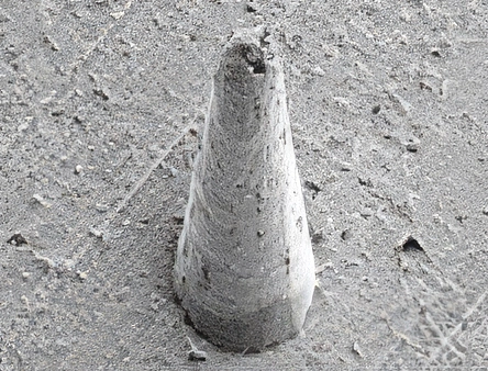 Microneedle SEM image 3